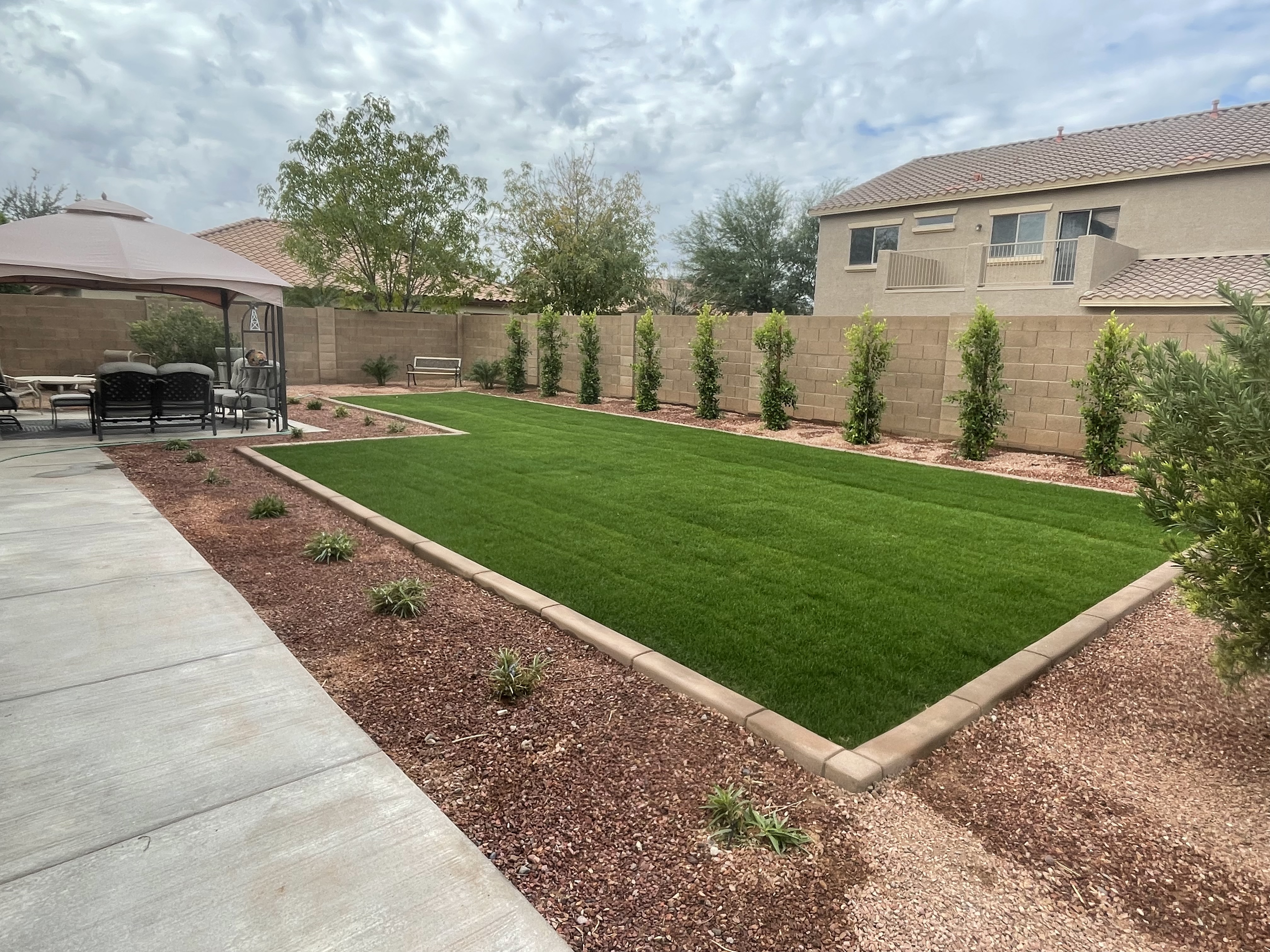 Artificial Turf 2